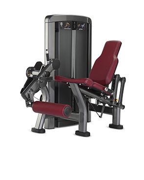 Мускулите за разгъване на крака работят